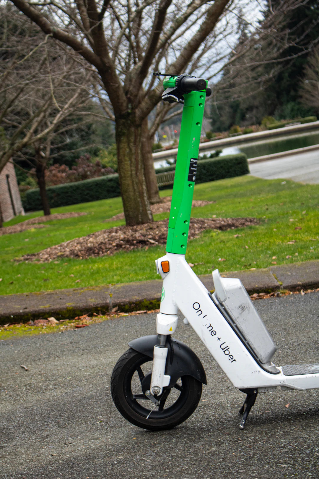 Inspiring Stories from Mobility Scooter Users