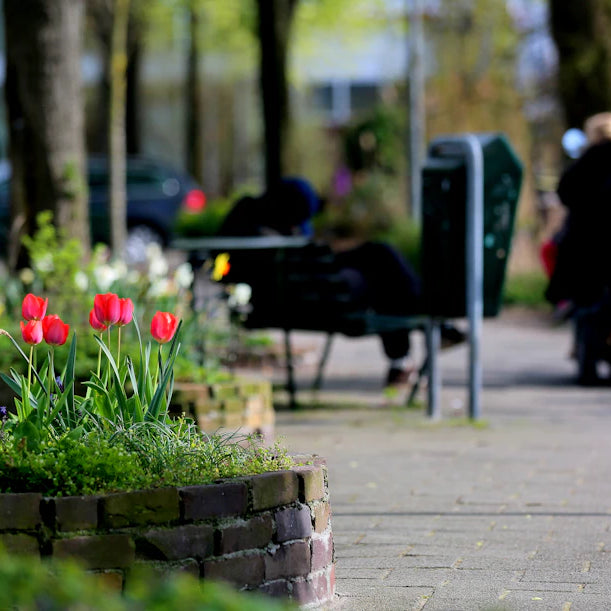 The Freedom of Mobility Scooters for Your Independence
