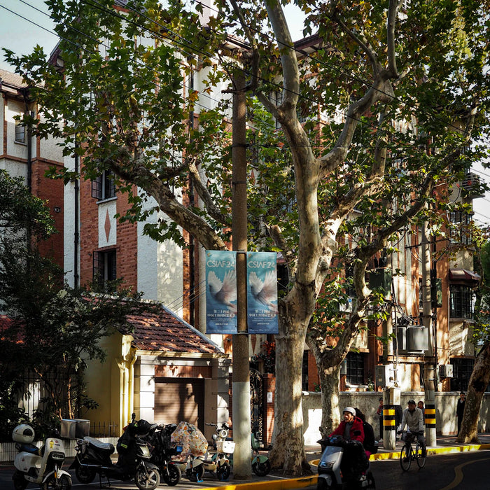 Transforming Lives with Mobility Scooters Success Stories