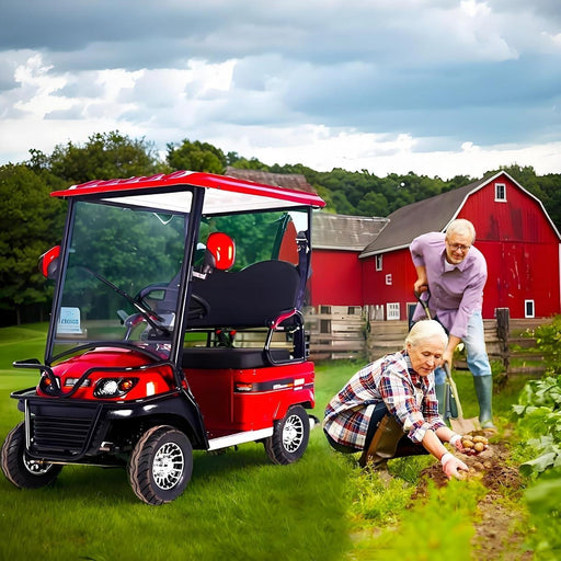 All Terrain 2-Person 4 Wheel Travel Mobility Scooters