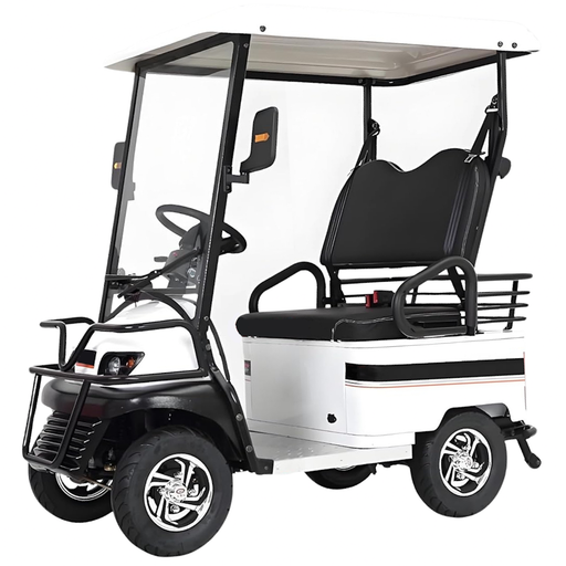 All Terrain 2-Person 4 Wheel Travel Mobility Scooters