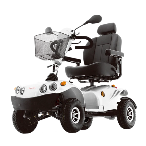 FreeRider FR GDX Heavy Duty All Terrain Mobility Scooter