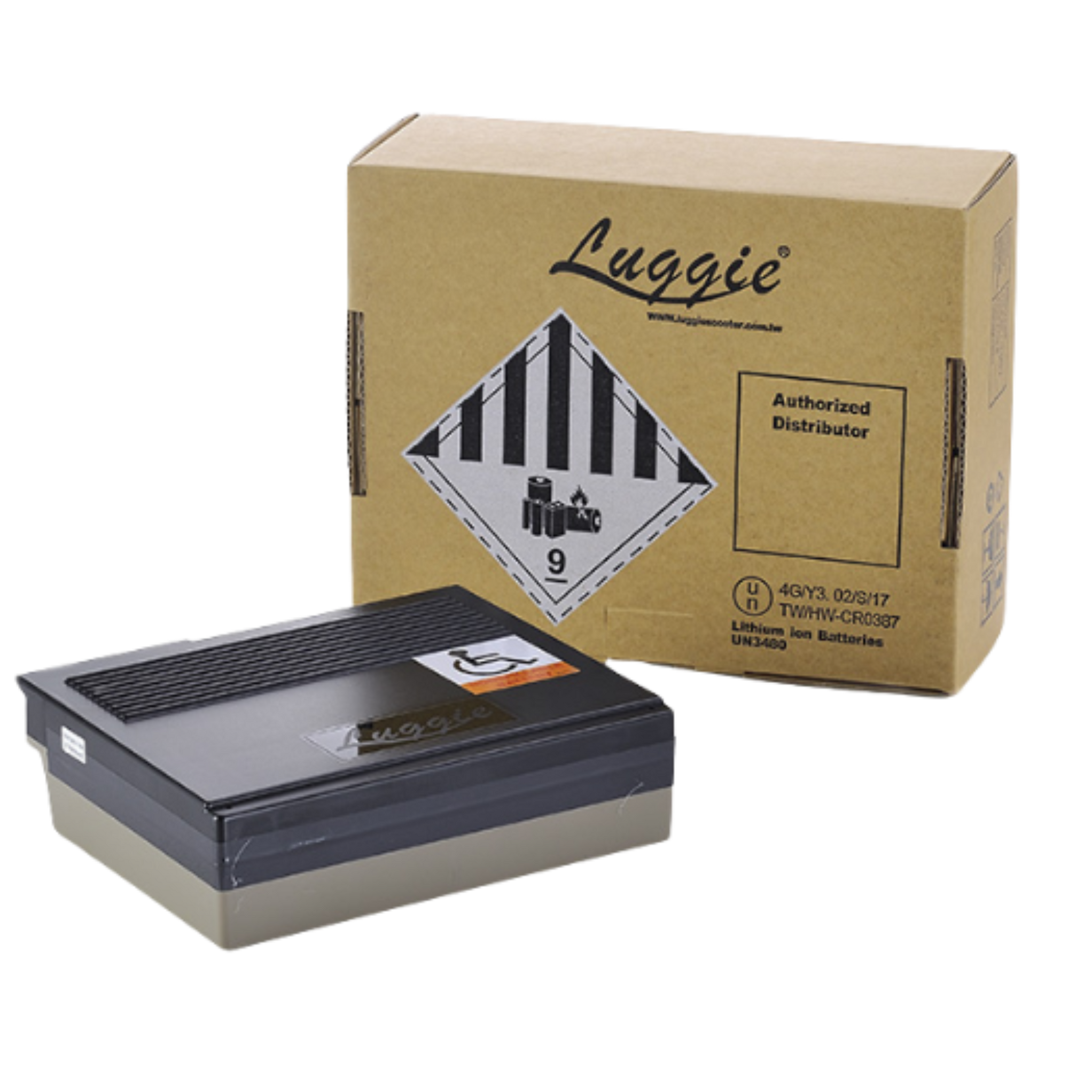 FreeRider USA Luggie 16.5AH Lithium battery