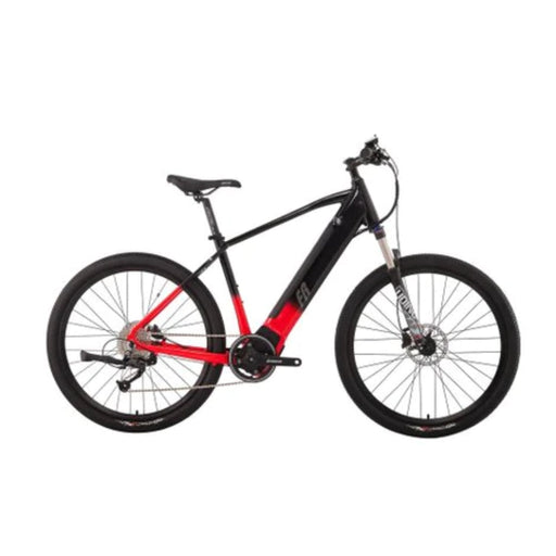 FreeRider Taroko Ebike